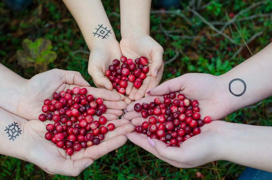Cranberry for efficiency