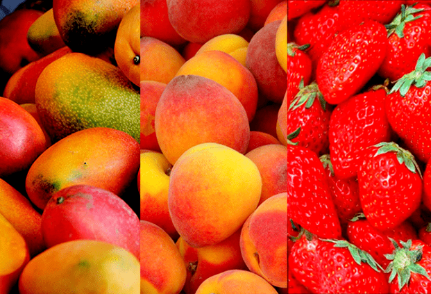 Mango, peaches for efficiency
